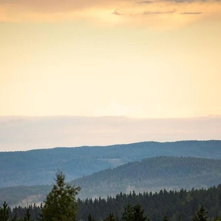 Villa Langroesta; Ruime Blokhut Grenzend Aan Bos Hagfors Exterior foto