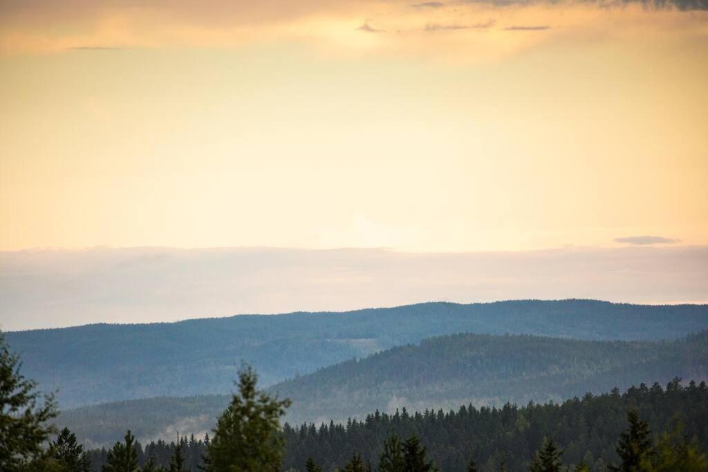 Villa Langroesta; Ruime Blokhut Grenzend Aan Bos Hagfors Exterior foto