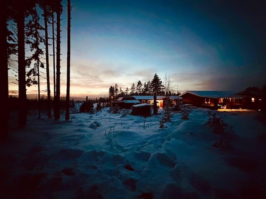 Villa Langroesta; Ruime Blokhut Grenzend Aan Bos Hagfors Exterior foto