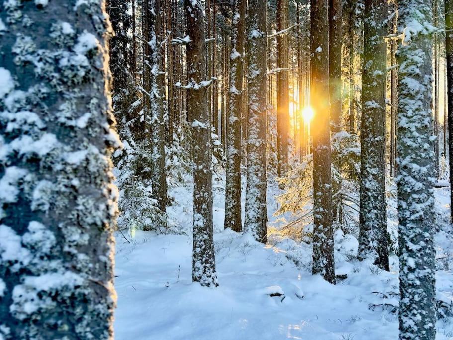 Villa Langroesta; Ruime Blokhut Grenzend Aan Bos Hagfors Exterior foto